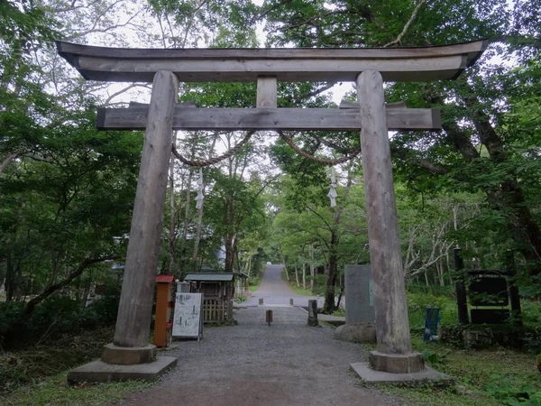 Widok na ogromną drewnianą bramę Torii górnego Togakushi-Jinja, Japonia — Zdjęcie stockowe