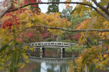 Kyoto Eikand tapınağında sonbahar renkleri