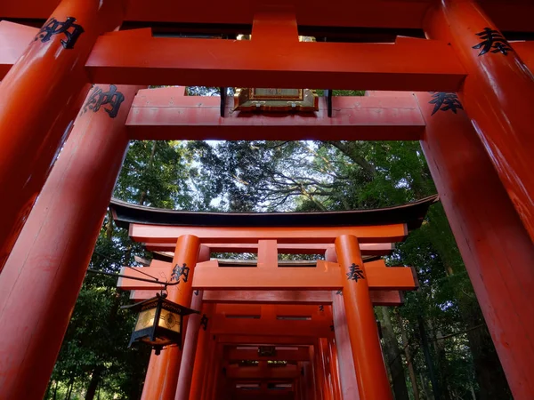 Vista en ángulo bajo de las puertas rojas de Torii en el Santuario Inari de Fushimi en Kyoto — Foto de Stock