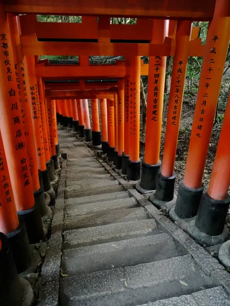 京都伏见稻里神社的红鸟居大门 — 图库照片