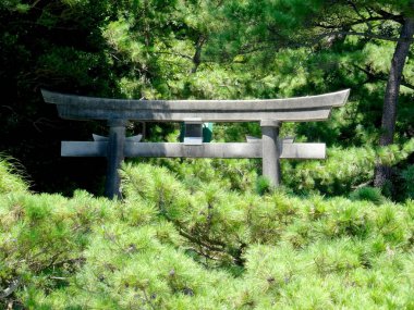 Japonya 'nın Kochi şehrinde Katsurahama plajında bulunan bir taş Torii kapısının bir kısmının yakın yukarı