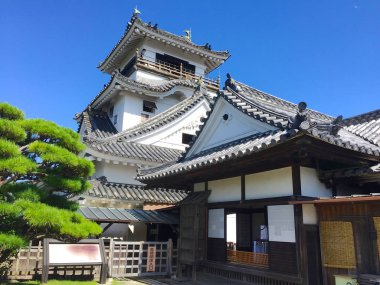Shinkoku Adası 'nda Kochi kalesinin görünümü, Japonya
