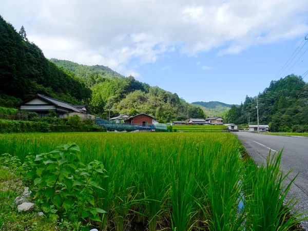 Tradizionale villaggio di campagna giapponese situato nella zona di Nakatosa sull'isola di Shikoku — Foto Stock