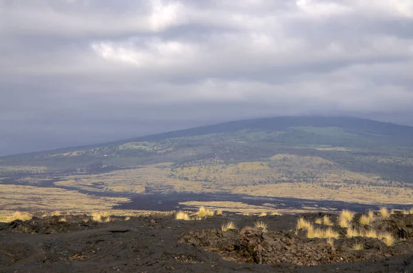 Paisaje volcánico típico de Big Island — Foto de Stock