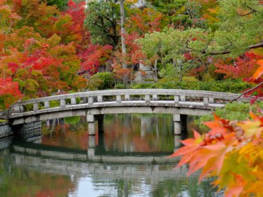 Kyoto Eikand tapınağında sonbahar renkleri