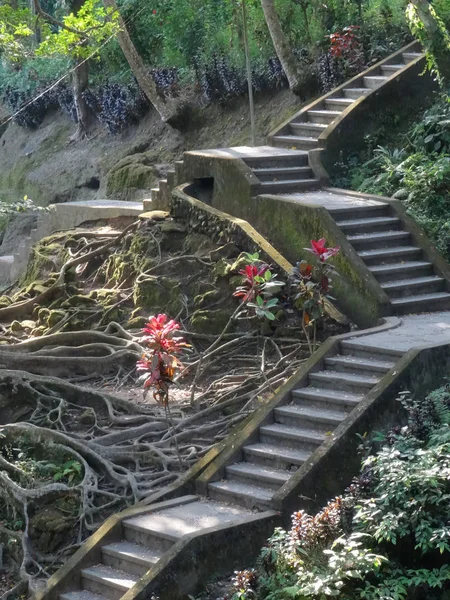 Escalera en la selva del templo de Goa Gajah en Bali —  Fotos de Stock