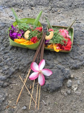 Güzel dekore edilmiş Bali teklifleri