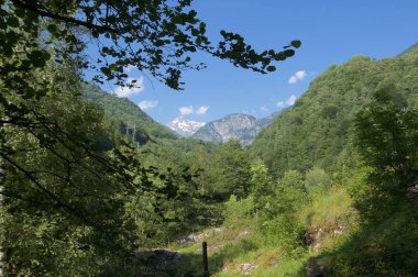 Kton Ticino Maggia Vadisi'nde güzel dağ manzarası, İsviçre