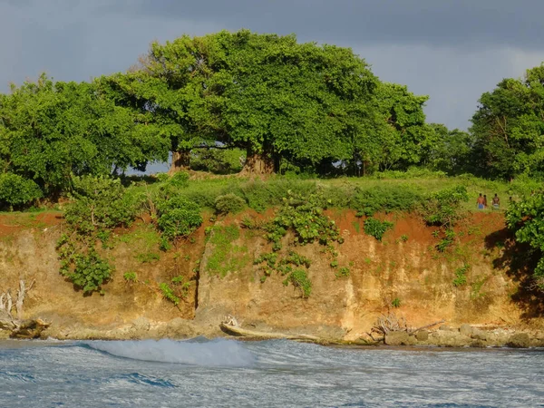 Manchioneale kustlijn in Jamaica — Stockfoto
