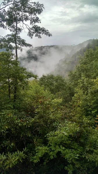 Вид Горы Нью Ривер Западной Вирджинии — стоковое фото