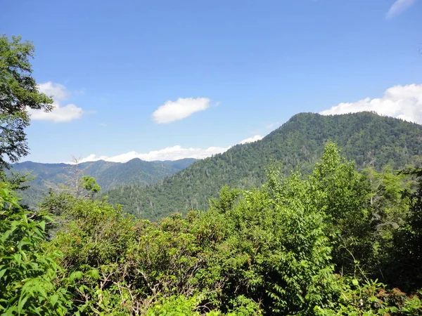 stock image Mountain top view in the Appalachian mountains. Forest and mountain ranges under a clear summer sky