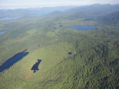 Ketchikan Alaska Tongass Ulusal Ormanı 'nda Misty Fjords Ariel görünümü