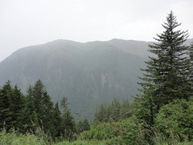 Gökyüzüne kadar ulaşan yeşil kaplı tepeler ile Alaska'da dağ silsilesi