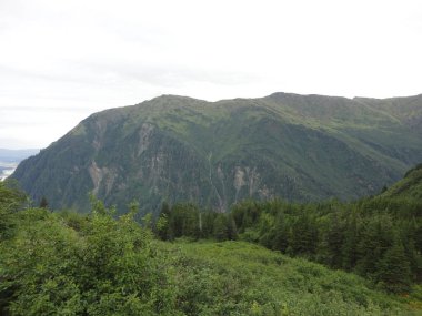 Gökyüzüne kadar ulaşan yeşil kaplı tepeler ile Alaska'da dağ silsilesi