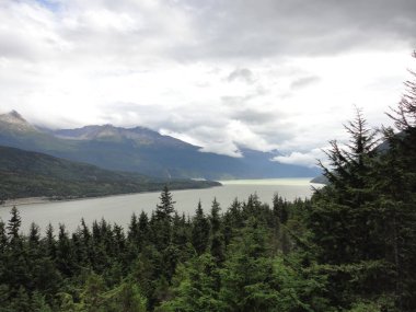 Alaskian dağın içinde geçmiş bir ılıman yağmur ormanı kenarında Gölü