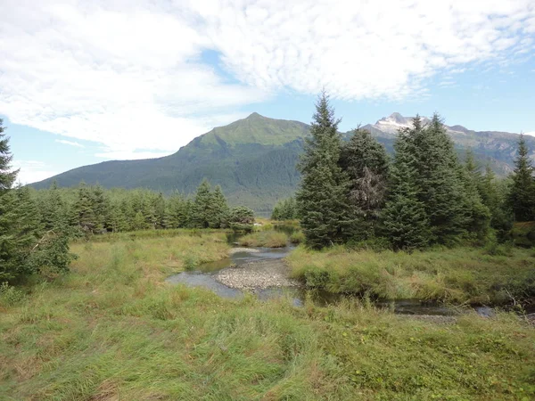 Desierto Alaska Pleno Verano Con Lagos Árboles Abundantes —  Fotos de Stock