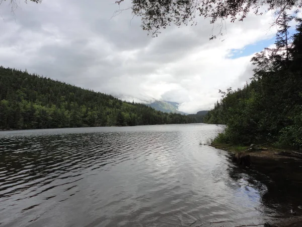 Alaskian Montanha Fundo Lago Borda Uma Floresta Tropical Temperada — Fotografia de Stock