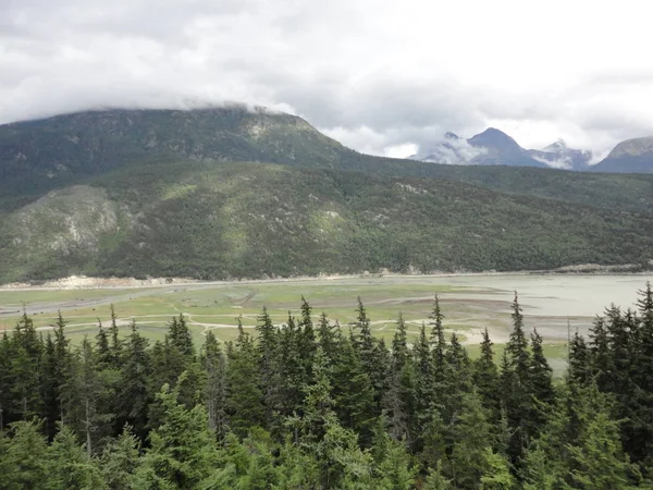 Alaskischer Berg Hintergrund Des Sees Rande Eines Gemäßigten Regenwaldes — Stockfoto