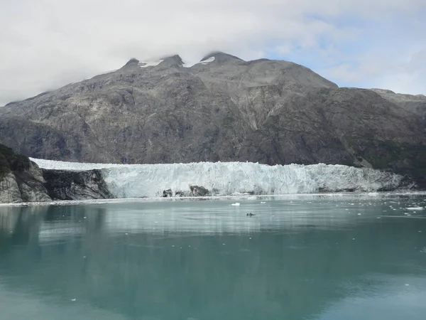 Glaciar Harvard Final College Fjord Alaska Geleira Larga Esculpir Seu — Fotografia de Stock