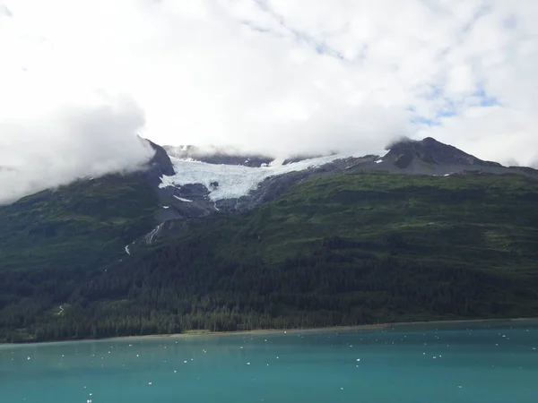 Glaciers Glacier Bay National Park Alaska Glaciers Coming Mountain Peaks — Stock Photo, Image