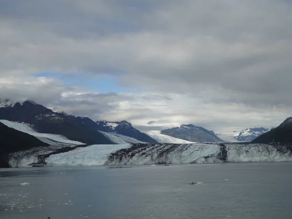 Glaciar Harvard Final Del Fiordo Universitario Alaska Amplio Glaciar Tallando — Foto de Stock