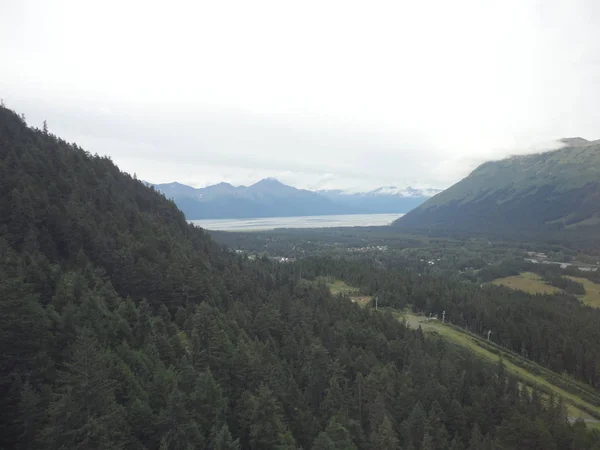 Montaña Alaska Fondo Del Lago Borde Una Selva Templada — Foto de Stock