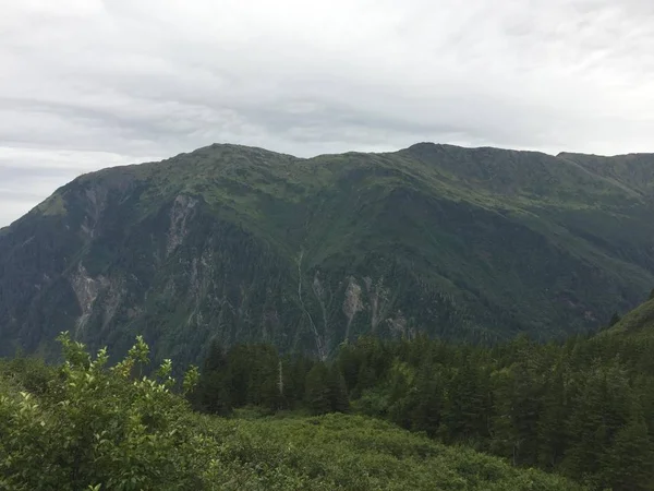 Ariel Kilátás Ködös Fjordok Ketchikan Alaska Tongass National Forest — Stock Fotó