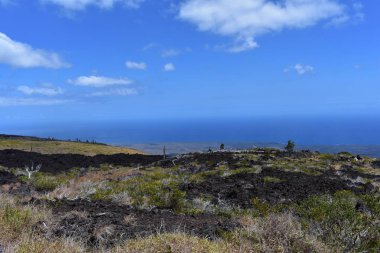 Hawaii ormanı 'ndaki eski Volcano krateri, engebeli volkanik kayayı kırmaya başlayan yan ve grennery etrafında geri büyüdü