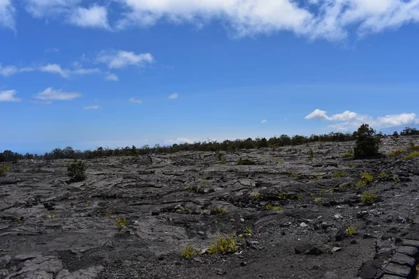 Antiguo Cráter Del Volcán Bosque Hawai Creció Nuevo Alrededor Los — Foto de Stock