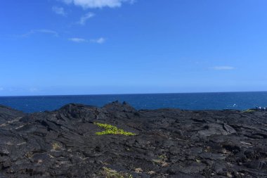 Hawaii 'de büyük adada eski Lava tarlaları. Volkanik kayalar alanları oluşturmak için soğutulmuş ve sertleştirilmiş