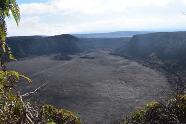 Hawaii ormanı 'ndaki eski Volcano krateri, engebeli volkanik kayayı kırmaya başlayan yan ve grennery etrafında geri büyüdü