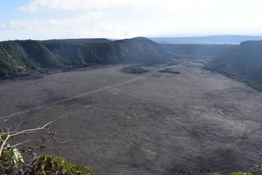 Hawaii ormanı 'ndaki eski Volcano krateri, engebeli volkanik kayayı kırmaya başlayan yan ve grennery etrafında geri büyüdü