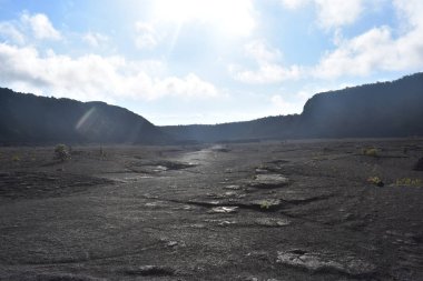 Hawaii ormanı 'ndaki eski Volcano krateri, engebeli volkanik kayayı kırmaya başlayan yan ve grennery etrafında geri büyüdü