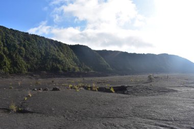 Hawaii ormanı 'ndaki eski Volcano krateri, engebeli volkanik kayayı kırmaya başlayan yan ve grennery etrafında geri büyüdü