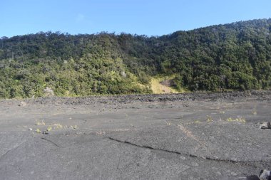 Hawaii ormanı 'ndaki eski Volcano krateri, engebeli volkanik kayayı kırmaya başlayan yan ve grennery etrafında geri büyüdü