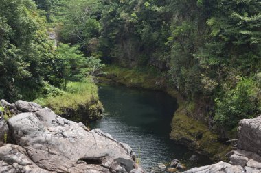 Rainbow Falls 'un merkezinde Hilo Hawaii 'de. Büyük bir düşüşe yol açan Rocky Stream 