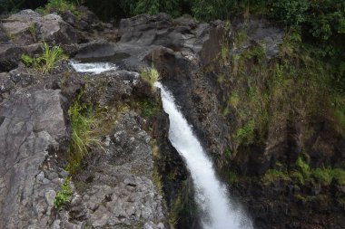 Rainbow Falls Downtown Hilo Hawaii Şelalesi ormanda çevrili bir havuza kayalık bir bölme aşağı basamaklama