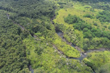 Hawaii yağmur ormanları ve şelaleler, nehirler ve vadiler ile yoğun bir tropikal yağmur ormanları arasında Arial View arazi boyunca çizmeyeceksiniz Zig
