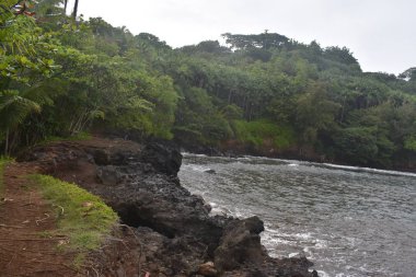 Sahilde yağmur ormanları kırılan pasifik okyanusu boyunca Hawaii kıyıları