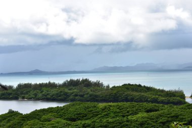 Hawaii 'de Pasifik Okyanusu 'nun dağ tarafı manzarası. Orman denizde dağılmak gibi yuvarlanan bulutlar