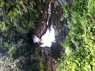 Şelale tropikal yağmur ormanlarının ortasında huzurlu bir havuza kayalar aşağı kayar
