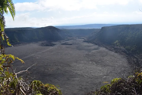 Antiguo Cráter Del Volcán Bosque Hawai Creció Nuevo Alrededor Los — Foto de Stock