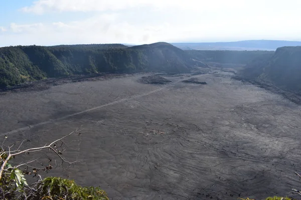 Antiguo Cráter Del Volcán Bosque Hawai Creció Nuevo Alrededor Los — Foto de Stock