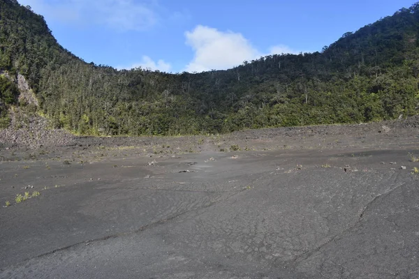 Hawaii ormanı 'ndaki eski Volcano krateri, engebeli volkanik kayayı kırmaya başlayan yan ve grennery etrafında geri büyüdü
