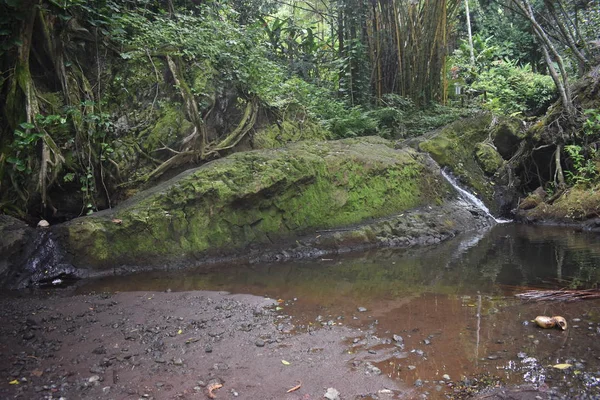 Cascada Deslizándose Por Las Rocas Una Tranquila Piscina Medio Una — Foto de Stock