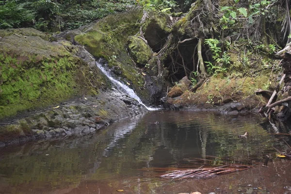 Cascada Deslizándose Por Las Rocas Una Tranquila Piscina Medio Una — Foto de Stock