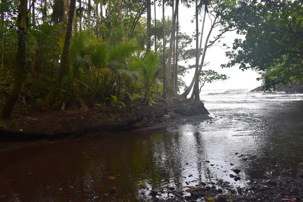 Costa Hawaiana Lungo Oceano Pacifico Con Foresta Pluviale Rompere Spiaggia — Foto Stock