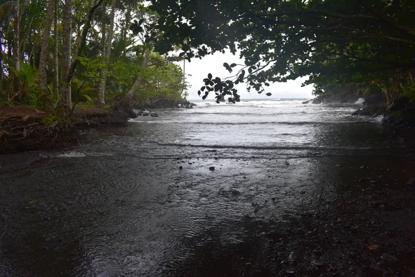 Costa Hawaiana Largo Del Océano Pacífico Con Selva Tropical Rompiendo —  Fotos de Stock