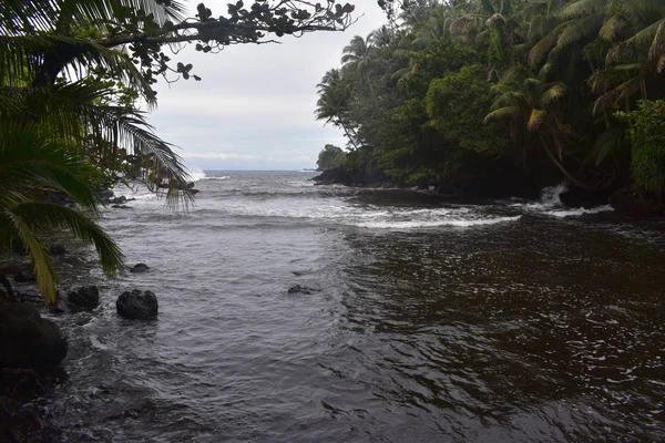Costa Hawaiana Largo Del Océano Pacífico Con Selva Tropical Rompiendo —  Fotos de Stock