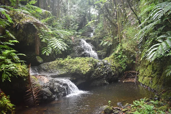 Vízesés Lecsúszni Sziklák Egy Békés Medence Közepén Egy Trópusi Esőerdő — Stock Fotó